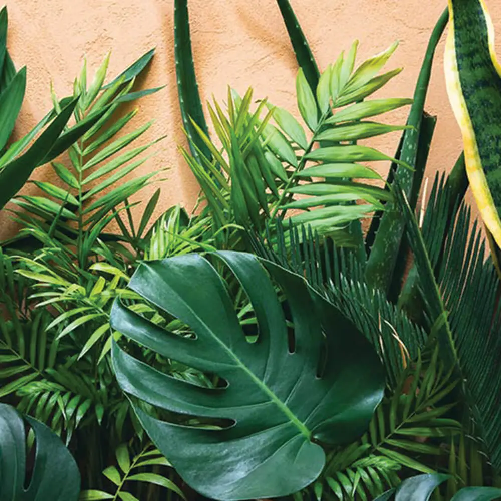 indoor plants work done by best landscaping companies in dubai Opal landscaping