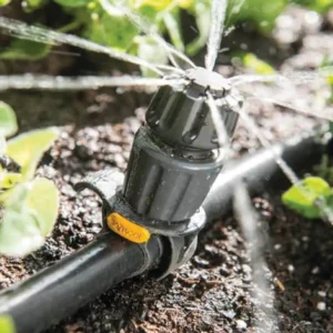 landscaping company in dubai irrigation