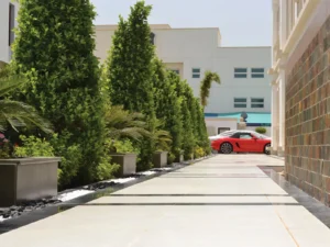 plants landscaping companies in dubai